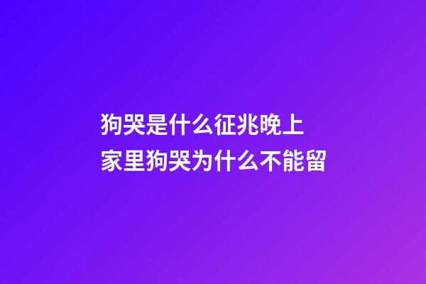 狗哭是什么征兆晚上 家里狗哭为什么不能留
